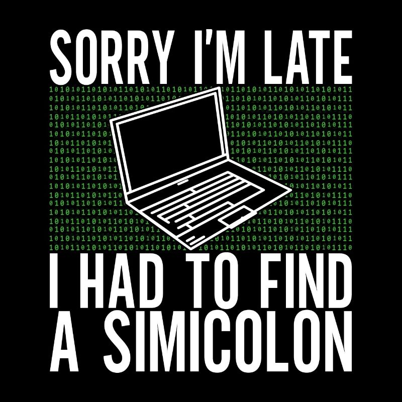 Programmierer Informatiker