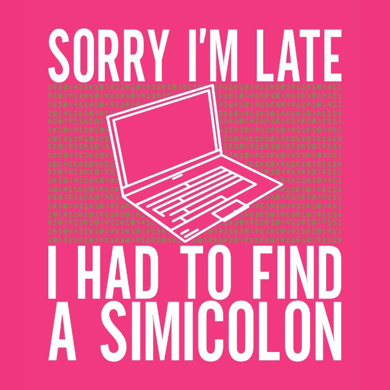 Programmer Computer Scientist