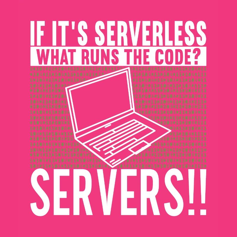 Programmer Computer Scientist