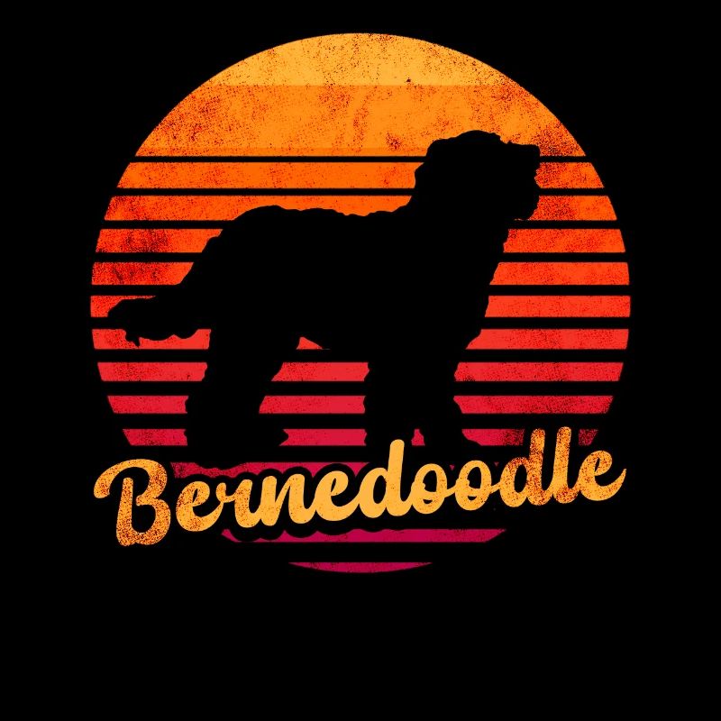 Bernedoodle Dog