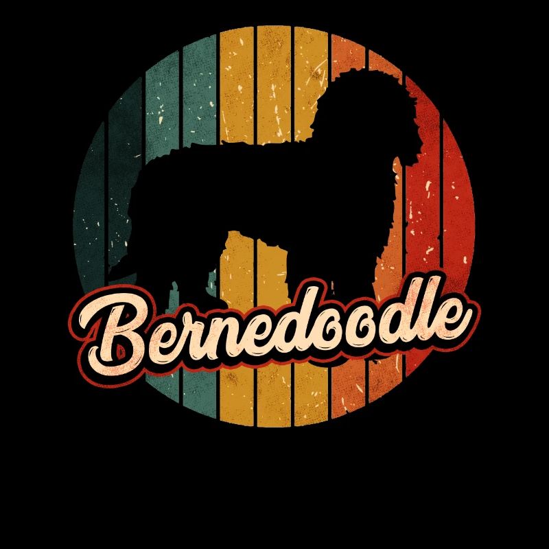 Bernedoodle Hund