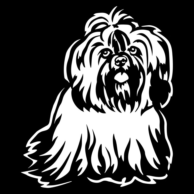 Shih-Tzu "Black Edition"