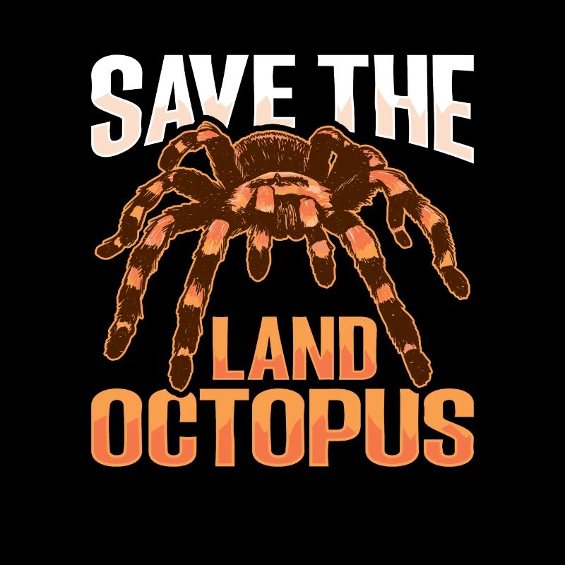 Tarantulas Terrarium Tarantula
