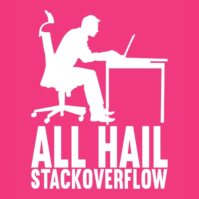 Programmierer Informatiker