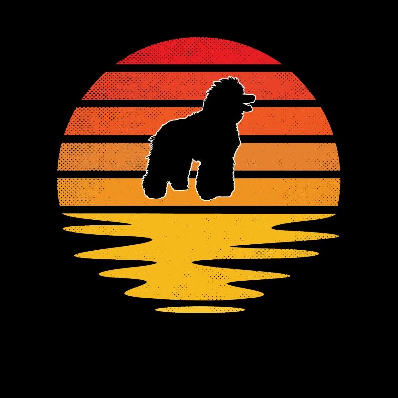 Caniche Rétro