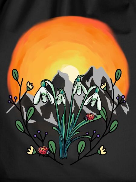 Sunshine Spring Snowdrop Austria