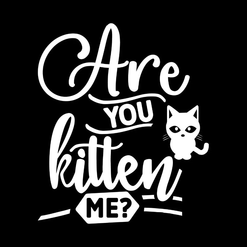 Es-tu chaton moi? Drôle de chat disant