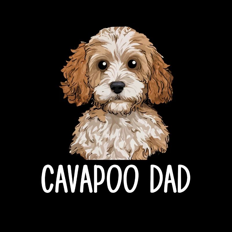 Cavapoo Dad, Cavapoo