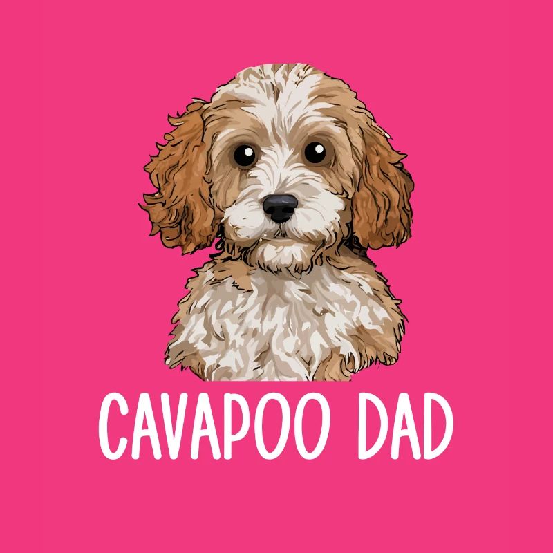Cavapoo Papa, Cavapoo