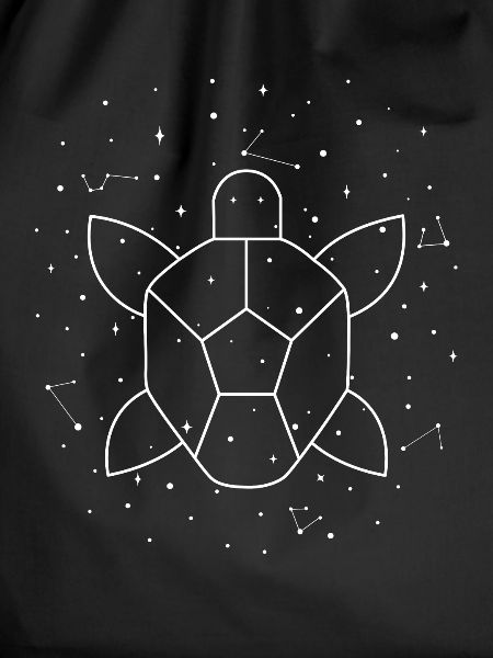 Constellation Aquatic Turtle constellation