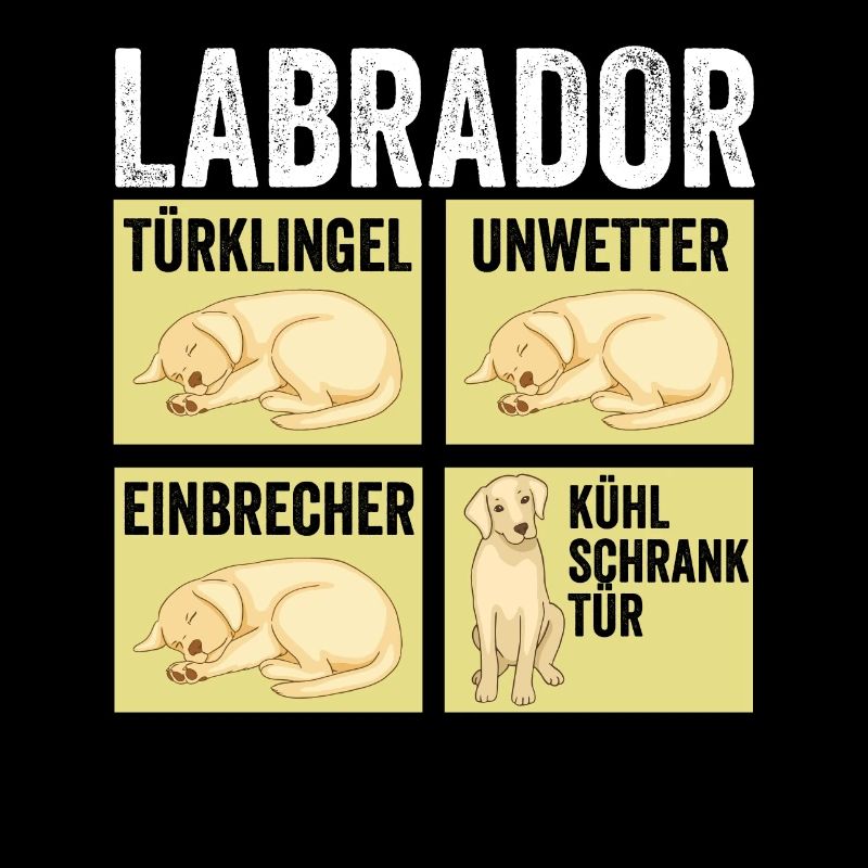 Hund Labrador