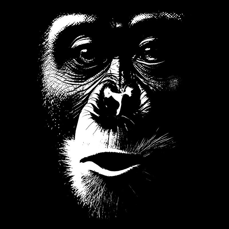 Funny Monkey T-Shirt