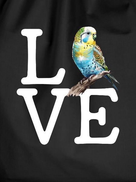 budgerigar parakeet, budgie
