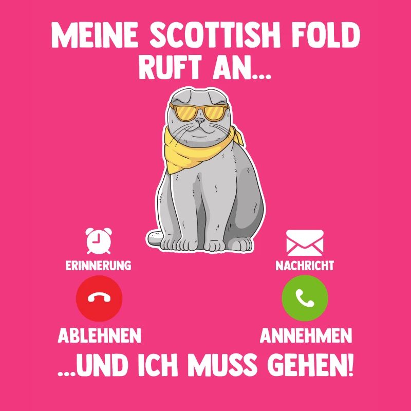 Scottish Fold Katze