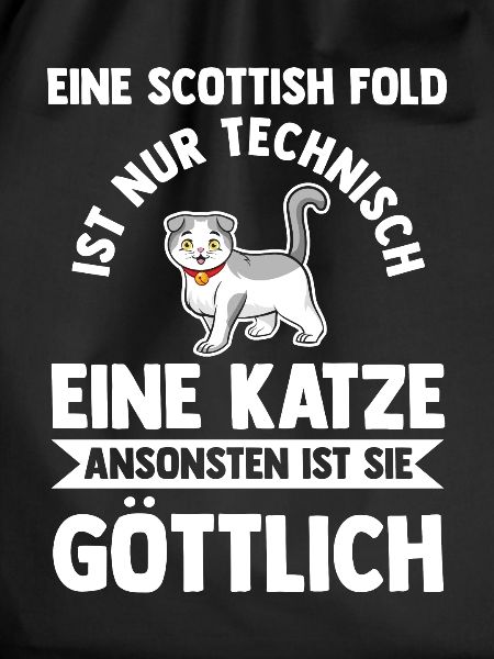 Scottish Fold Katze