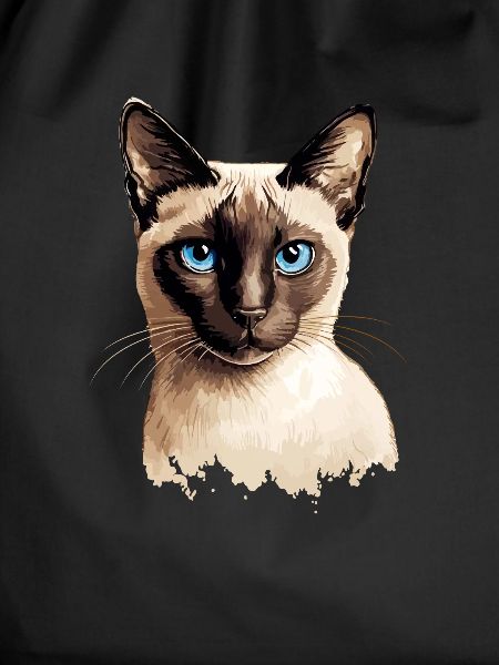 Siamese Cat