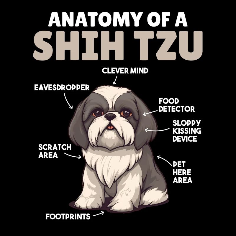 Explication du chien Anatomie d’un Shih Tzu