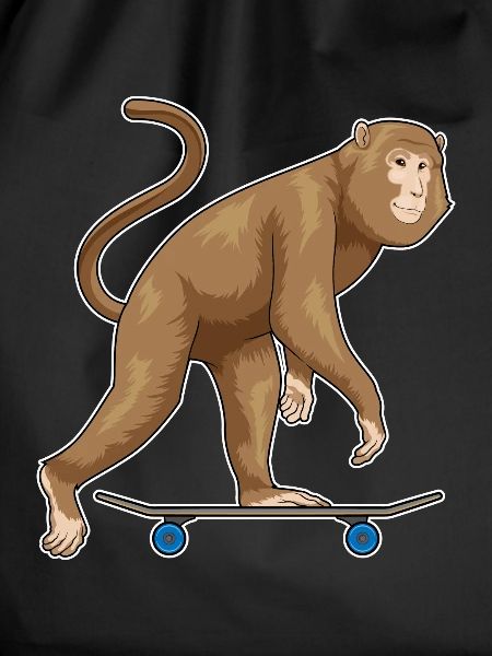 Monkey Skater Skateboard