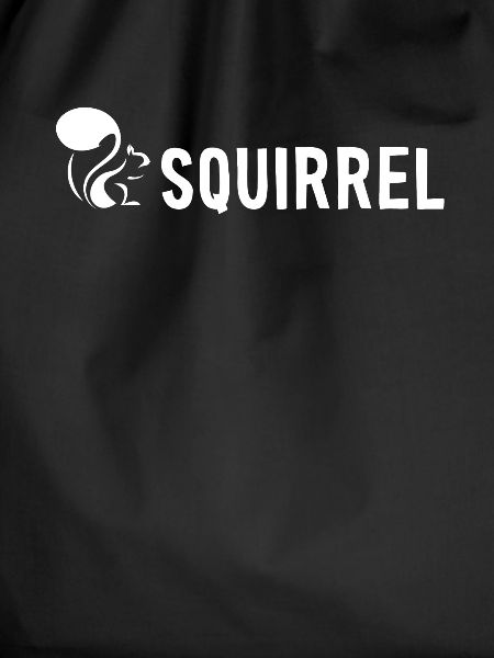 Squirrel Fuchshörnchen Grauhörnchen Squirrel
