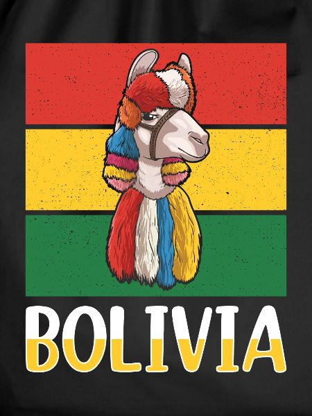 Bolivia flag, Bolivian flag