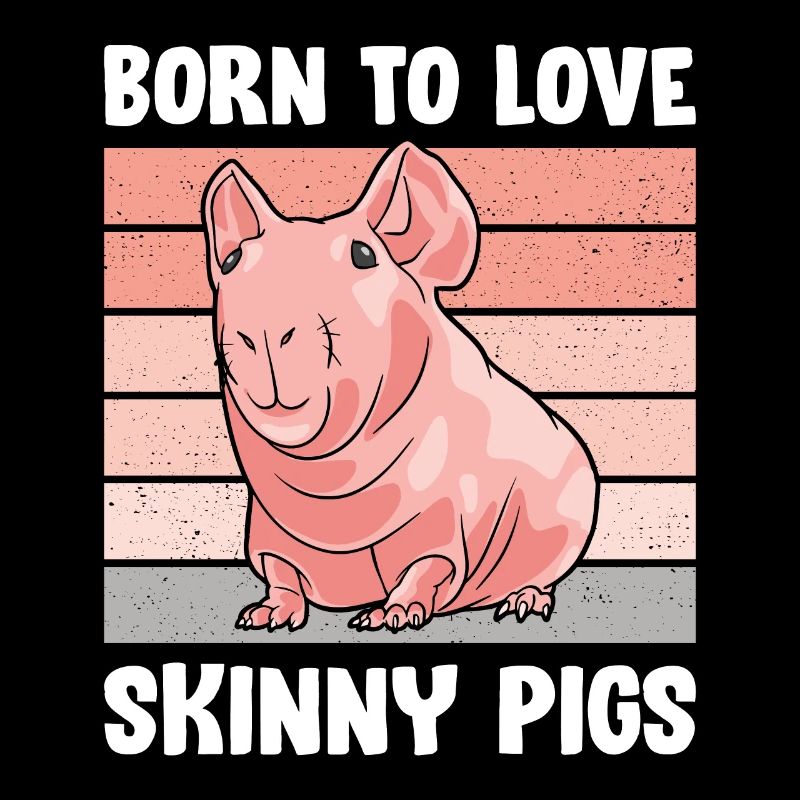 Cochon d’Inde sans poils Cochon maigre