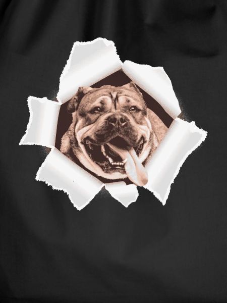Dog peeking through hole