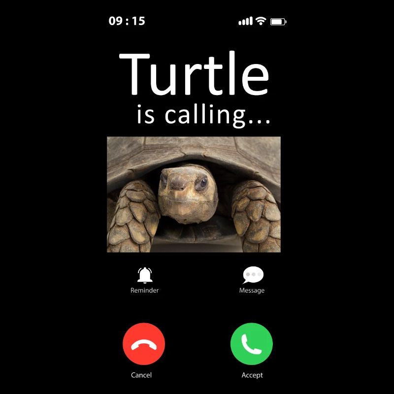 Sea Turtle Tortoise Phone Display