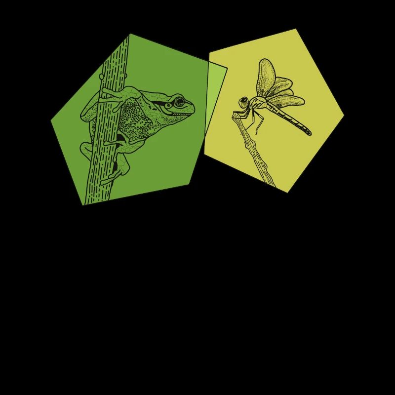 Toad, tadpole, tree frog, frog breeder, frog