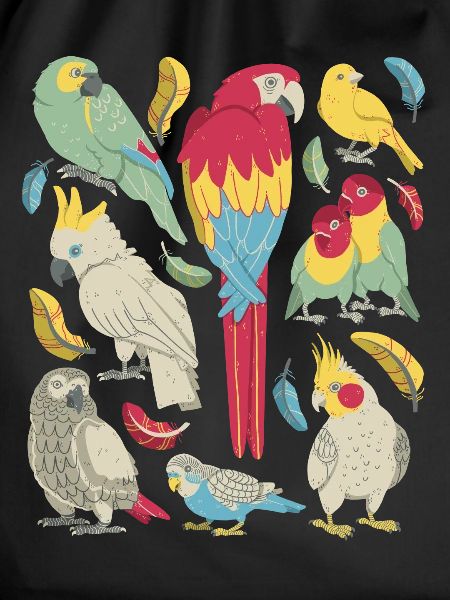 Parrots