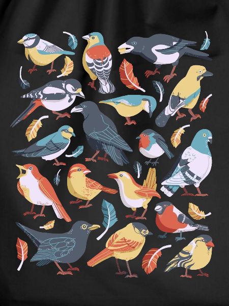 Birds