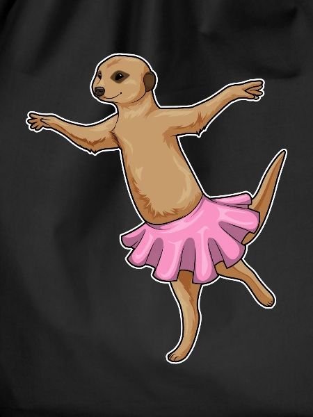 Meerkat Ballerina Ballet Dance