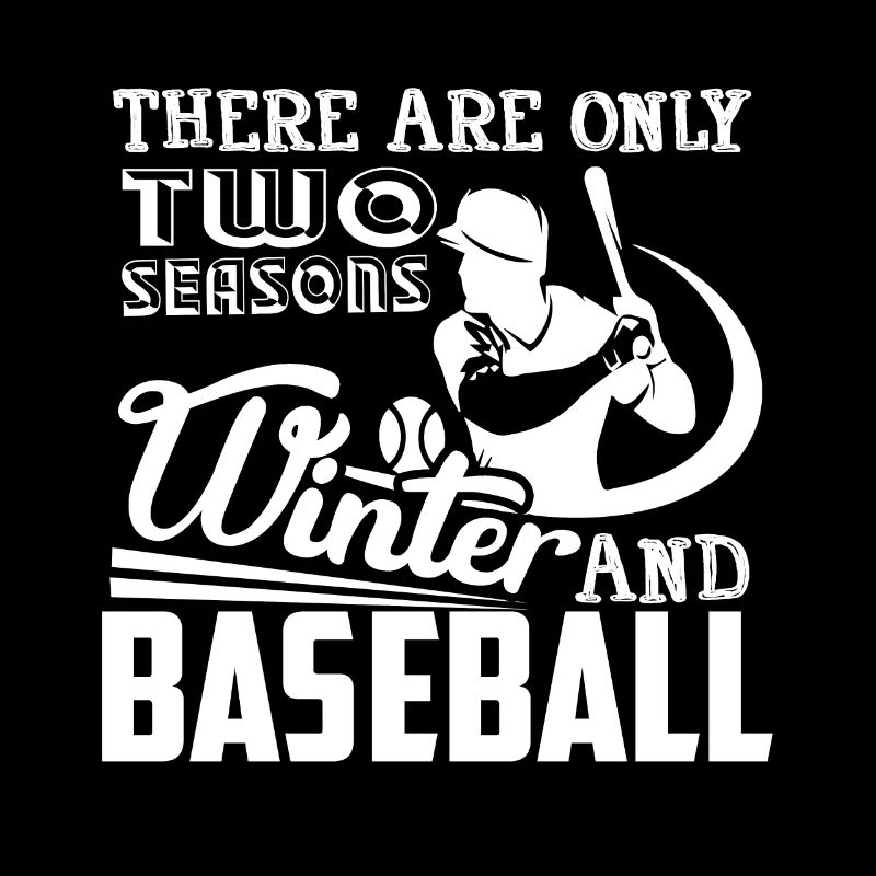 Baseball Two Seasons Winter And Baseball