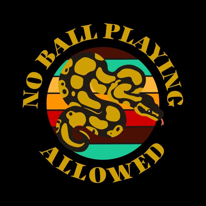 Ball Python Königspython Schlange