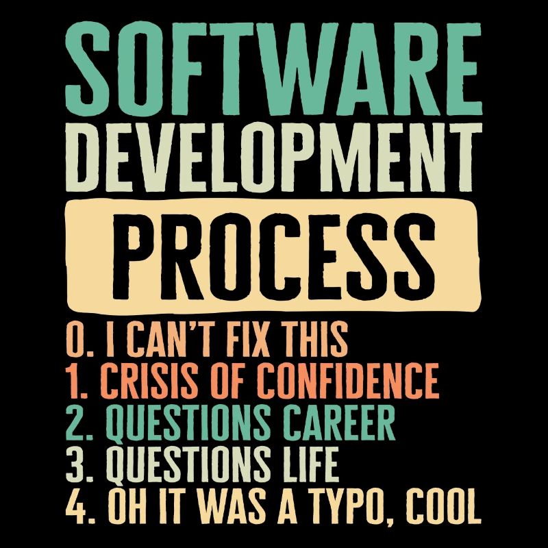 Chemise de programmeur, I Processus de développement logiciel