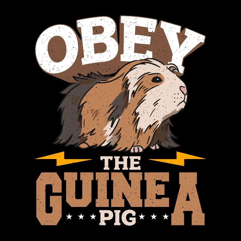 Cochon d’Inde Obéir à l’amoureux des animaux du cochon d’Inde Cavy