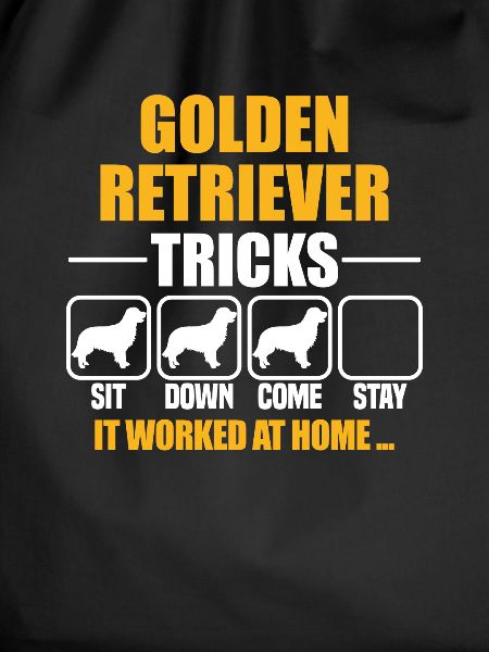 Golden Retriever Tricks