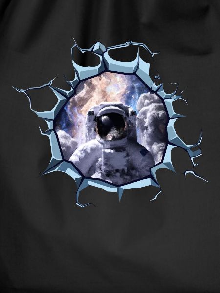 Taikonaut, Cosmonaut, Spaceship, Spaceman