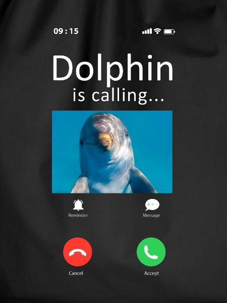 Dolphin Phone Display Dolphin Is
