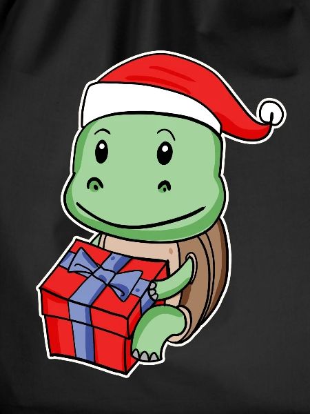 Turtle with Christmas hat