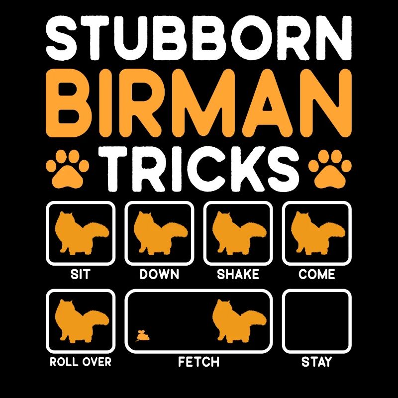 Stubborn Tricks Birman Cat