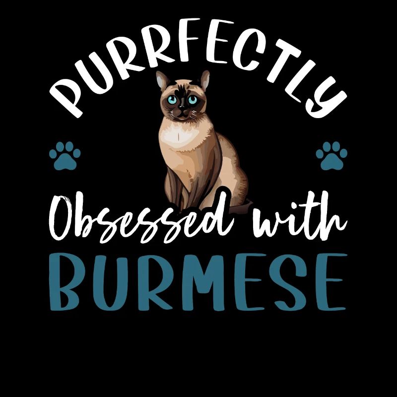 Purrfectly Obsessed With Burmese