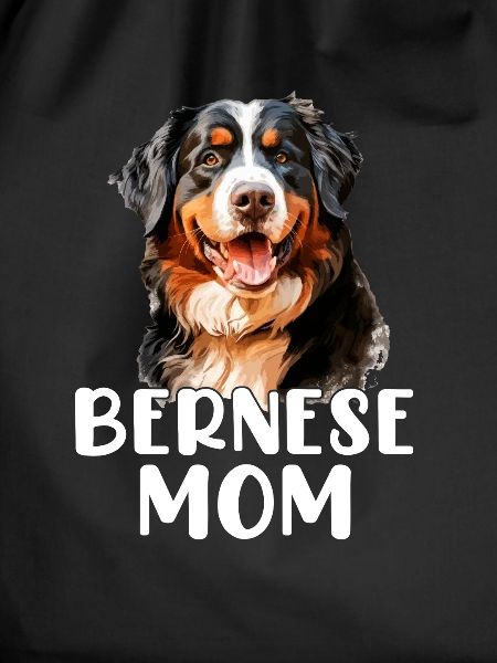 bernese mountain dog