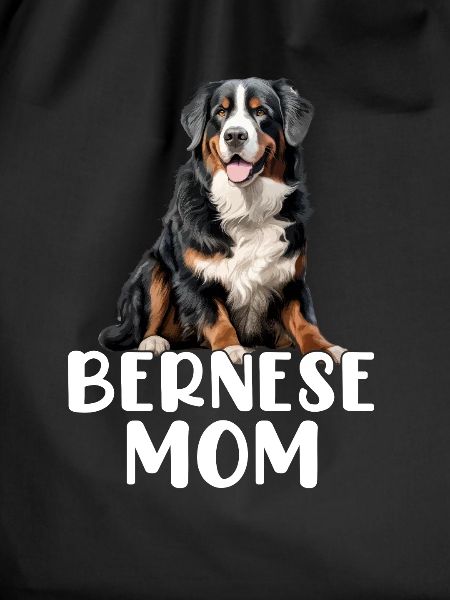 bernese mountain dog
