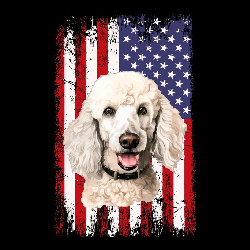 poodle dog