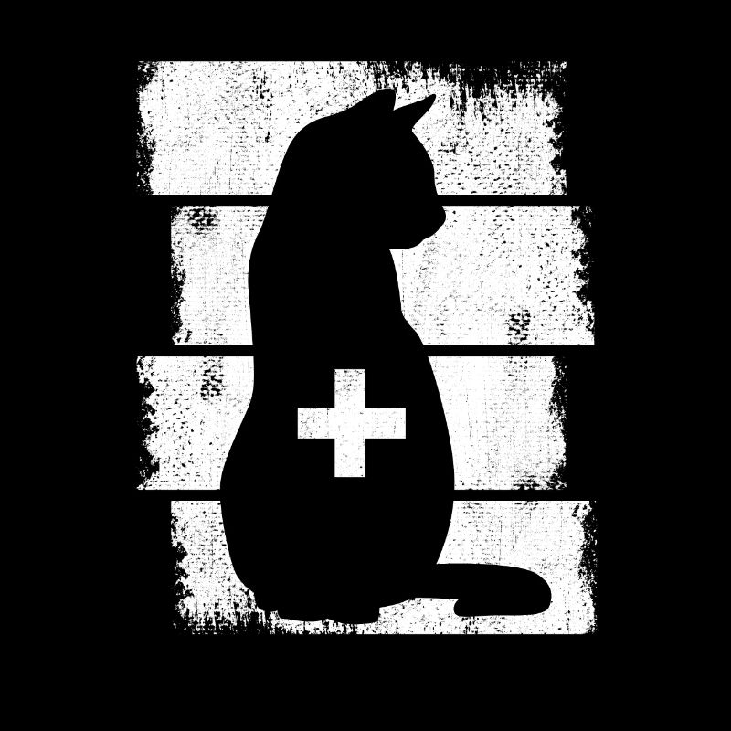 Katzen Tierarzt