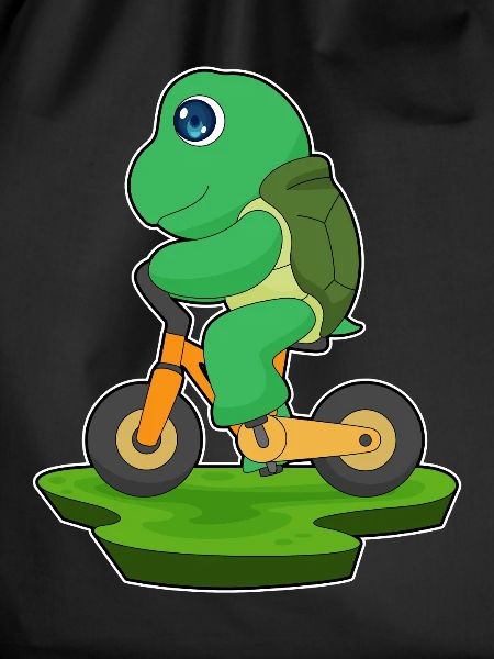 Turtle Bicycle