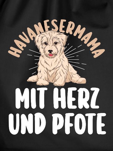 Dog Havanese