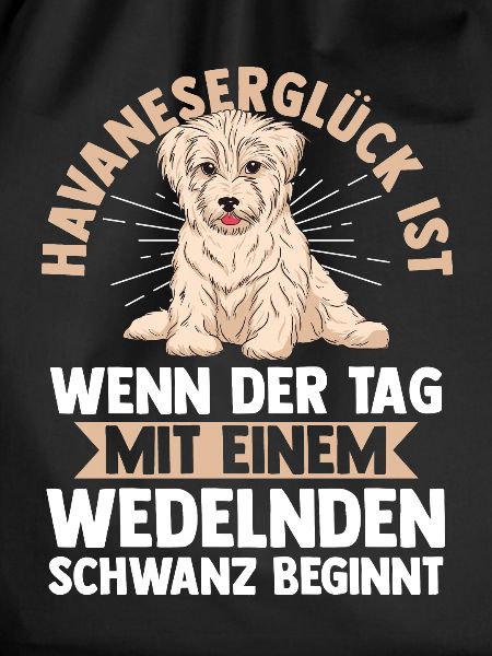 Dog Havanese