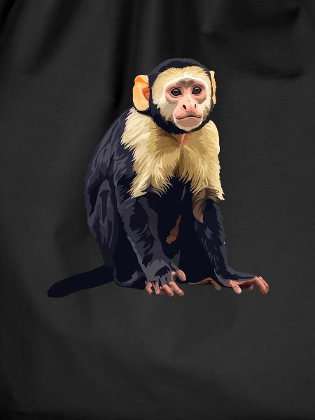 Capuchin monkey whisperer