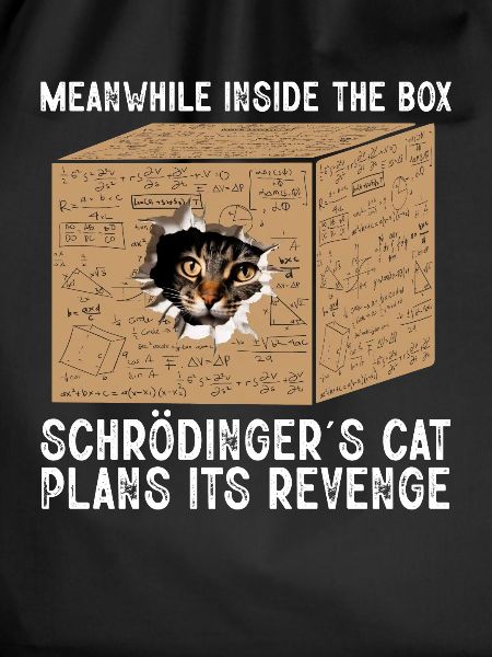Meanwhile Inside The Box